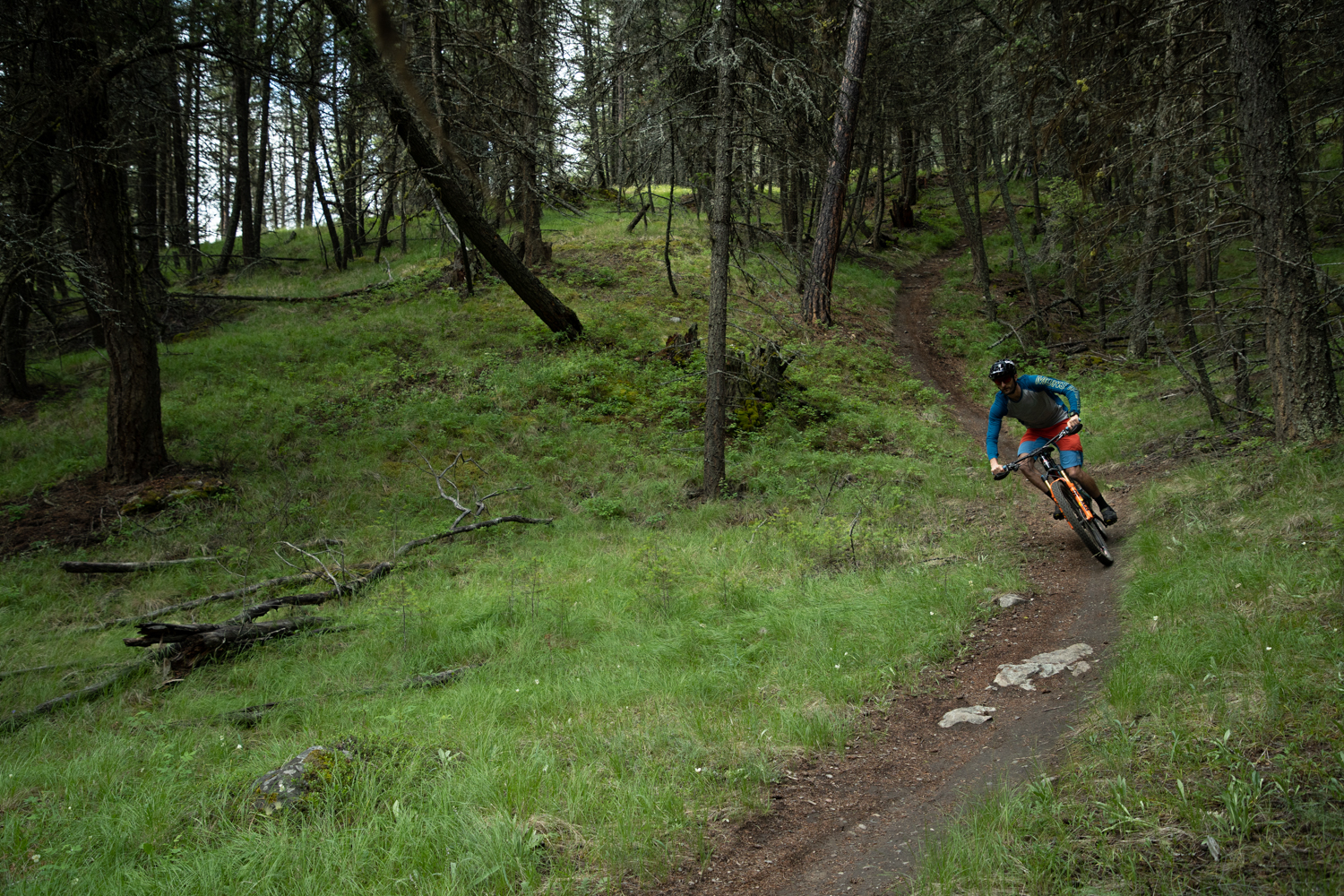 Riding in the Cranbrook Community Forest