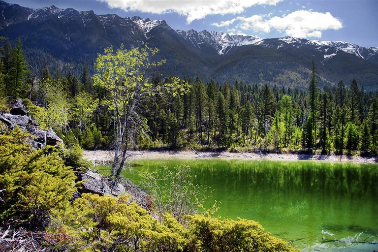 Premier Lake Provincial Park