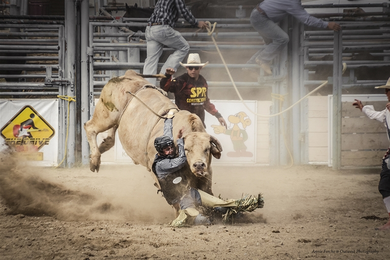 35th Annual Cranbrook Professional Rodeo