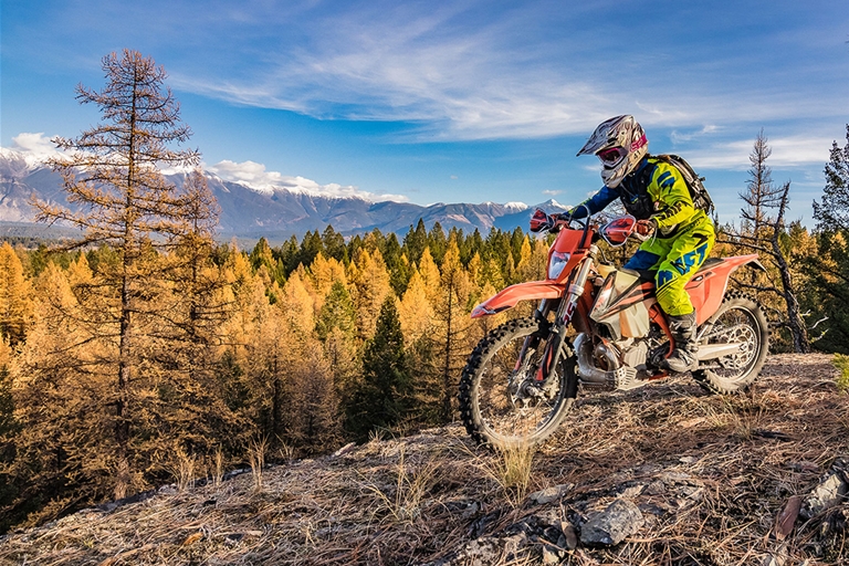 Motorsports around Cranbrook