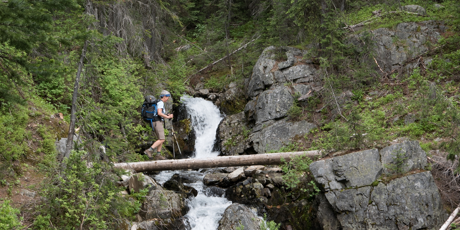 Hiking In Cranbrook Bc